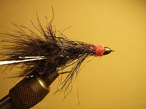 300px-BlackEggSuckingLeech Egg Sucking Leach