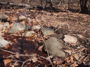 Indian Run Spring Indian Run Spring