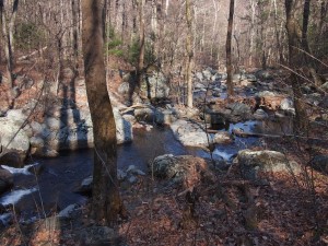 Unnamed Stream Unnamed Stream