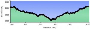 Piney Branch Elevation Profile