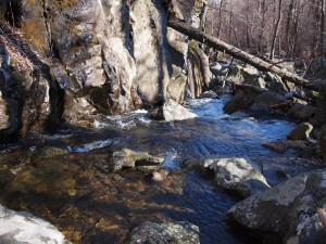 White Oak Canyon - Upper White Oak Canyon - Upper