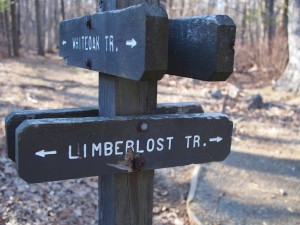Limberlost Trail Sign Limberlost Trail Sign