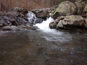 Jeremy's Run Pool Jeremy's Run Pool