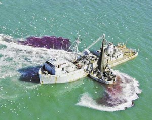 Fish Boat - Menhaden