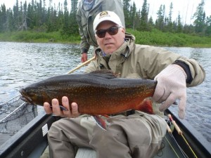 Minipi River Brook Trout