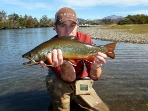 Huge Argentina Brook Trout