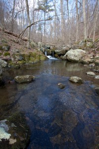 Nice Pool in the Stream Nice Pool in the Stream