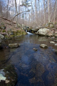 Nice Pool in the Stream