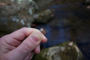 Patriot Dry Fly