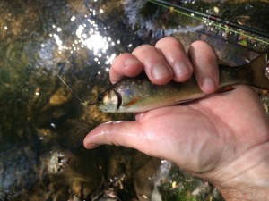 And another further upstream