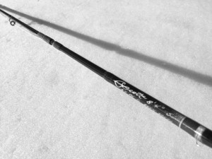 Scott 845/5