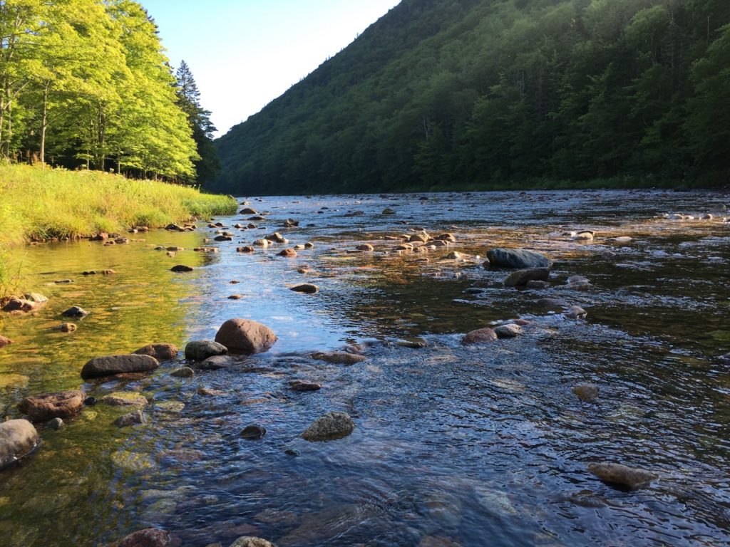 Nova Scotia and Cape Breton Island Brook Trout Fishing Guide