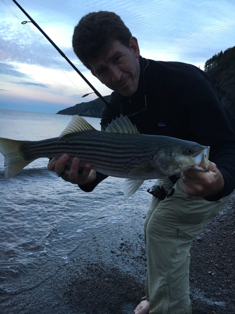 Striper!